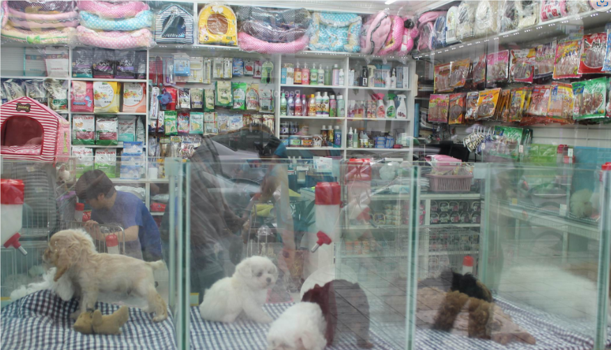 适合女性一人开的店